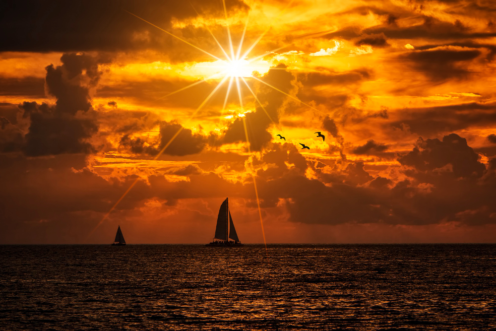 Private speedboat cruise at sunset - Zadar (12 people)