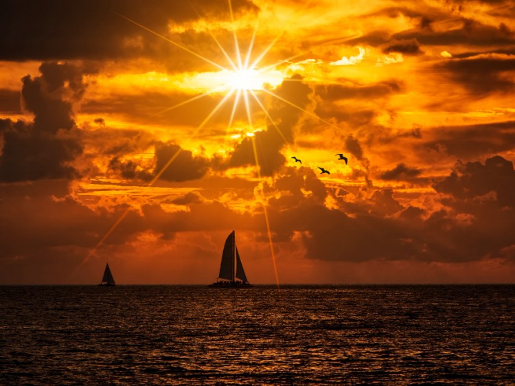 Private speedboat cruise at sunset - Zadar (12 people)